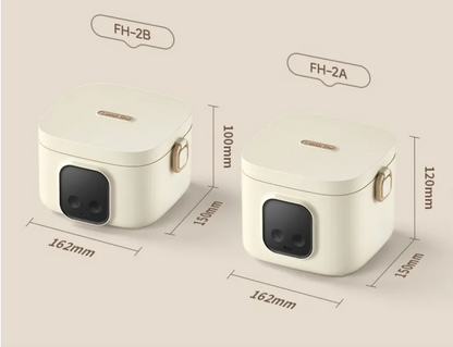 High-Tech Electric Lunch Box